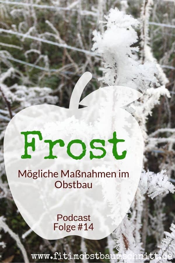 Frost im Obstbau Podcast Fit im Obstbaumschnitt Folge 14