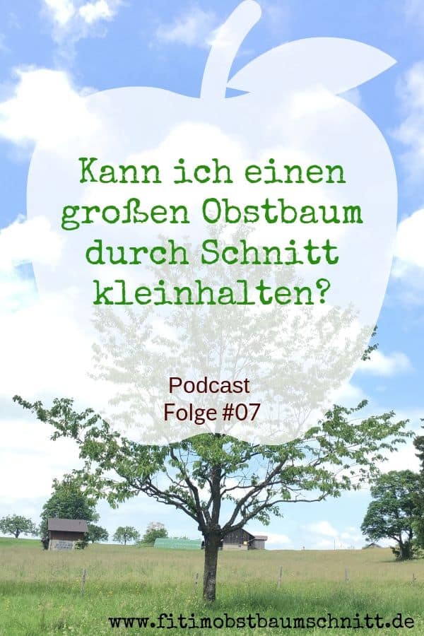 Fit im Obstbaumschnitt Podcast Folge 07 Kann ich einen großen Obstbaum durch Schnitt klein halten?
