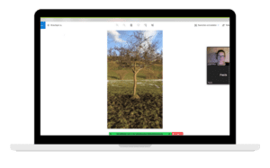 Mockup Laptop Obstbaumschnitt Beratung